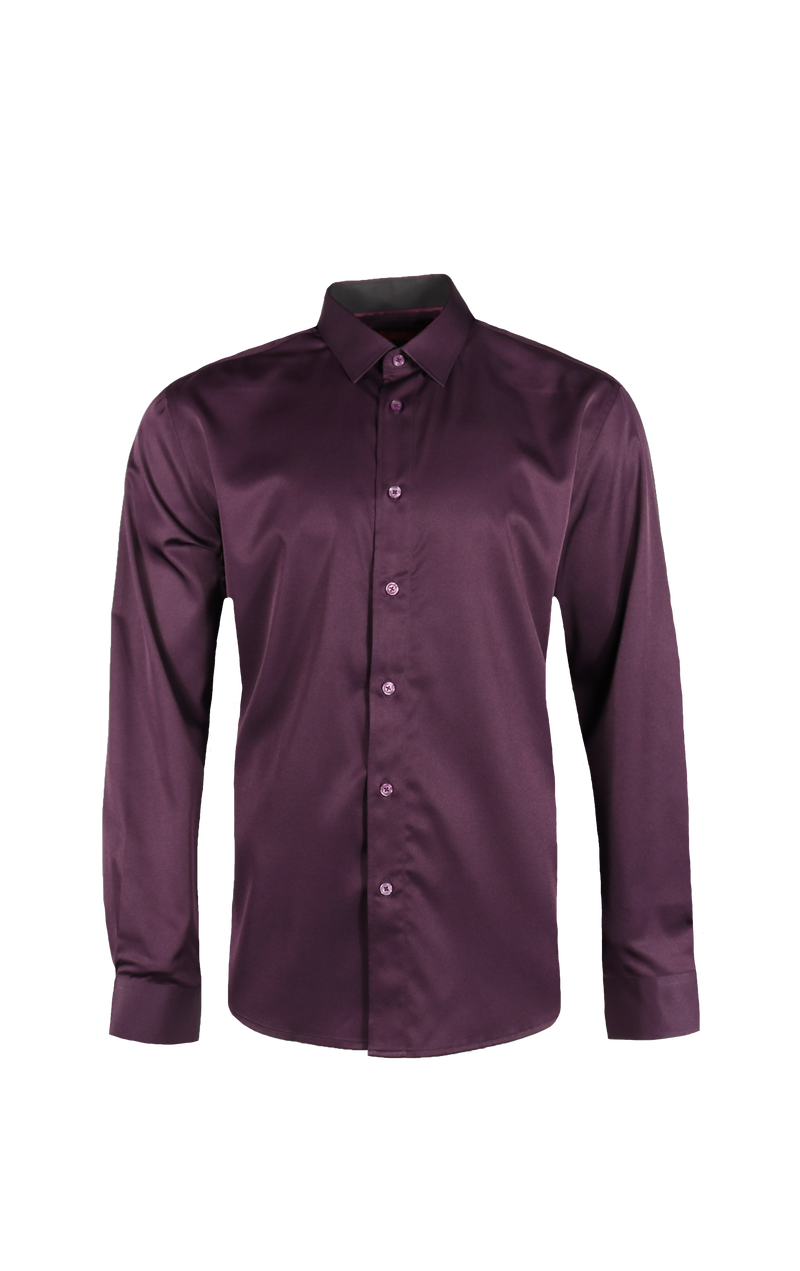 Vision Long sleeved Dress Shirt