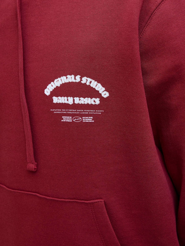 Jack & Jones Meadows Hoodie Sweater