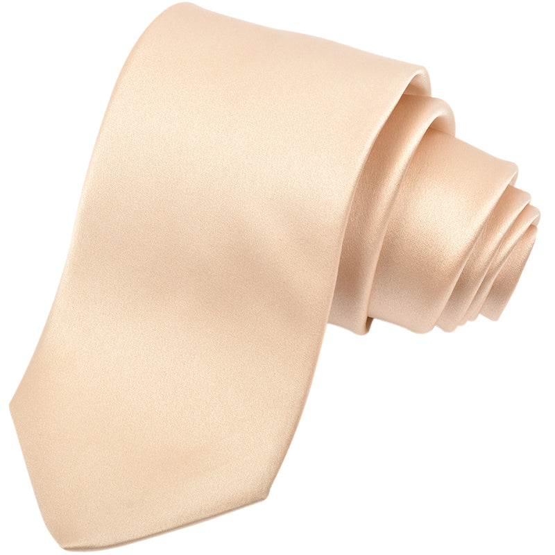 Dion 1967 Silk Satin Tie