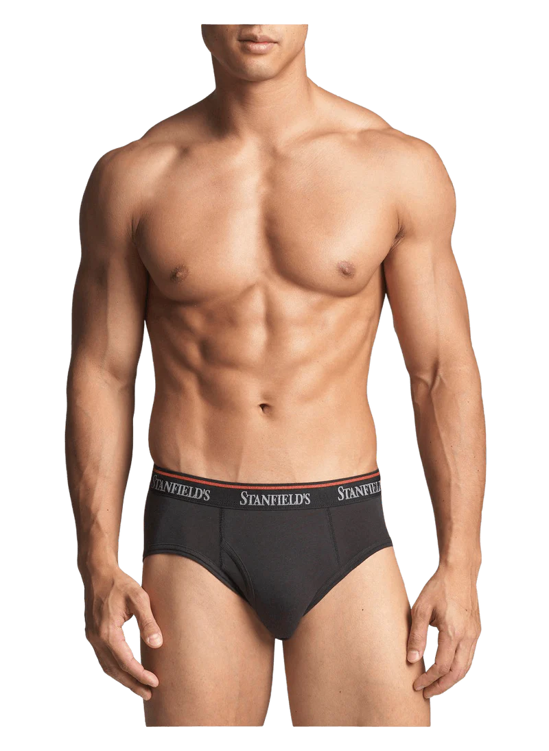 Stanfield Cotton Stretch Brief 3 pk