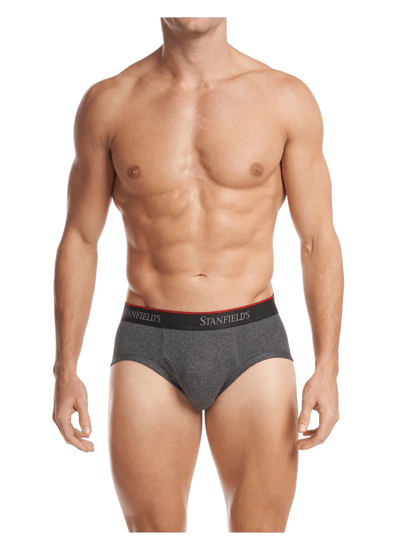 Stanfield Cotton Stretch Brief 3 pk